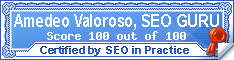 Amedeo Valoroso, SEO GURU, SEO techniques, SEO guide, SEO in practice