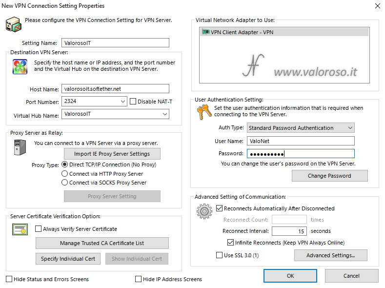 Configurare SoftEther VPN Client Manager, new VPN connetction setting properties, hostname port, virtual hub, authentication, Connettere un computer remoto alla VPN