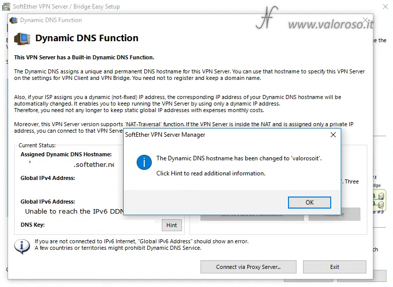 Configurare SoftEther VPN Server, Dynamic DNS Hostname changed