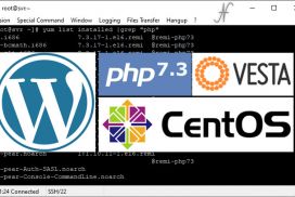 Mandatory PHP update WordPress, PHP 7.3, VestaCP PHP update to version 7.3., CentOS