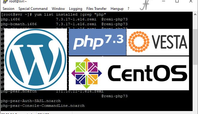 Aggiornamento PHP obbligatorio WordPress, PHP 7.3, aggiornamento PHP di VestaCP alla versione 7.3., CentOS