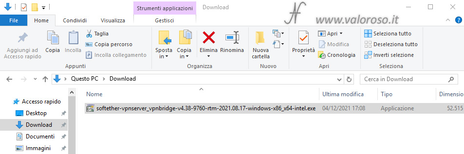 Scaricare SoftEther VPN Server, cartella download del computer