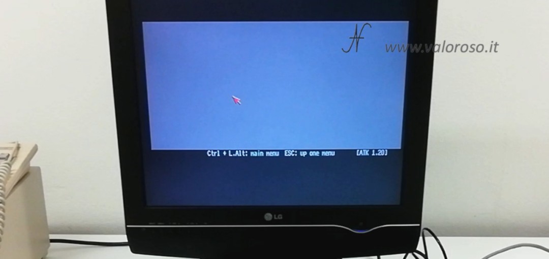 Test video grigi Commodore Amiga 1200, CBM A1200, AmigaTestKit