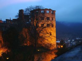 (2005) Castello di Heidelberg