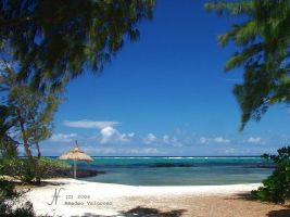 (2006) Spiaggia a Mauritius