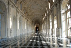 (2012) La Venaria Reale, pavimento